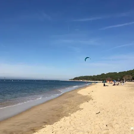 2 Avec Jardinet Privatif - 200m De La Pereire *