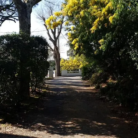2 Avec Jardinet Privatif - 200m De La Pereire Arcachon